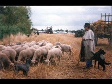 Montaille prés saint d'occasion Montaille prés saint d'occasion  Baugy