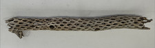 Cholla cactus wood for sale  Phoenix