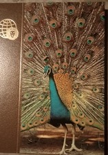 Encyclopédies royaume animaux d'occasion Encyclopédies royaume animaux d'occasion  France