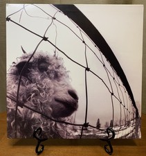 Pearl jam original for sale  La Vergne