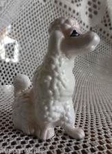 miniature french poodle for sale miniature french poodle for sale Mardela Springs