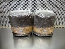 One mushroom grow for sale  Bloomington