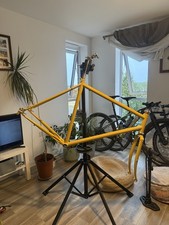 Temple classic medium for sale  BRISTOL