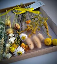 Yellow letterbox dried for sale  DONCASTER