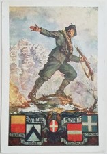 Cartolina reggimento alpini usato  Roma