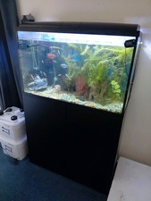 Aquarium fish equipment for sale  WREXHAM