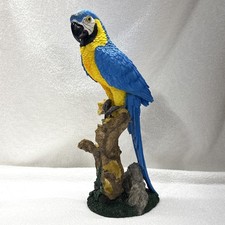 Blue yellow macaw for sale  Naperville