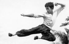 Bruce lee 24x36 for sale  Bronxville