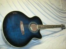 Nashville acoustic blueburst gebraucht kaufen  Deutschland