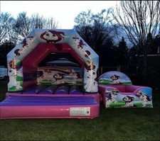 Unicorn castle ball for sale  ST. HELENS