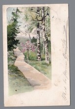 14141 landschaft birkenweg gebraucht kaufen  Mühlhausen/Thüringen
