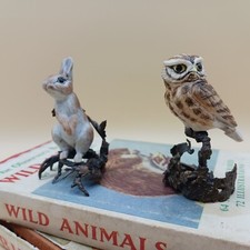 Albany worcester animals for sale  PINNER