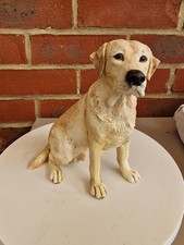 Golden labrador real for sale  GODSTONE