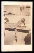 Usado, MASCOTE BEBÊ MACACO ADOLESCENTE-PEQUENO no ENVIO DA MARINHA com MÃO DE MARINHEIRO ~ FOTO DOS ANOS 1930 comprar usado  Enviando para Brazil