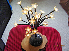 Cherry blossom tree for sale  Tawas City