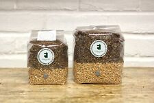 One grain spawn for sale One grain spawn for sale  TADLEY