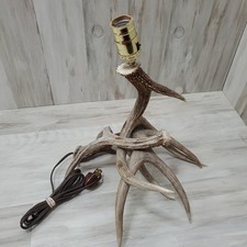 Real whitetail deer for sale  Bountiful