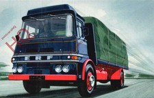 Picture postcard ladybird for sale Picture postcard ladybird for sale  NEWCASTLE UPON TYNE