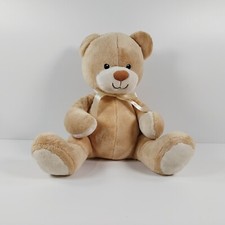 baby bear for sale baby bear for sale LEEDS