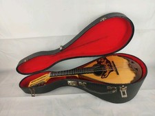Mandolino raspagni carlo usato  Vaiano Cremasco
