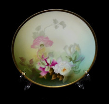 Thomas bavaria sevres for sale  Tonawanda