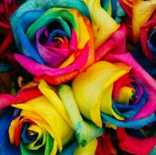 50pc colorful rainbow for sale  Marietta