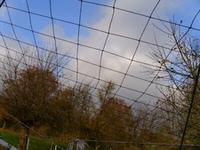 Voliere netz 6 gebraucht kaufen  Wallhausen, Blankenheim