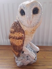 Large barn owl for sale  NORWICH