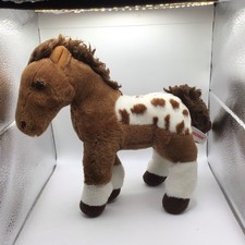 Aurora appaloosa horse for sale  Dayton