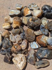 Montana moss agate for sale  Torrington