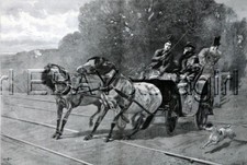 CAVALO Highland Pony Balking, Jack Russell Terrier Dog, Enorme Estampa Antiga da Década de 1880 comprar usado  Enviando para Brazil