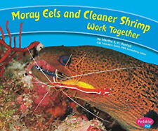 Moray eels cleaner for sale  Mishawaka