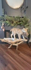 Bobcat taxidermy mount for sale  San Antonio