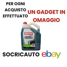 Litri antigelo liquido usato  Trinitapoli