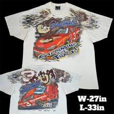 Dale earnhardt taz for sale  Parsonsburg