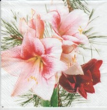 Servietten amaryllis blumen gebraucht kaufen  Frankfurt am Main