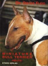 Miniature bull terrier gebraucht kaufen  Emmingen-Liptingen