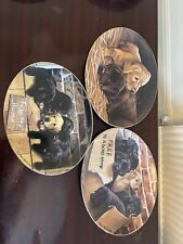 Labrador dog collectors for sale  MAIDSTONE