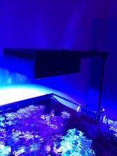reef led for sale  GLASGOW