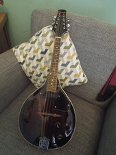 Ridgewood electric mandolin for sale  GLASGOW