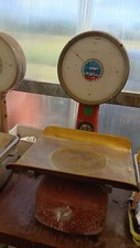 Bilancia per alimenti usato  Ancona