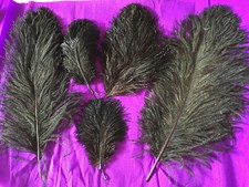 Lot anciennes plumes d'occasion  France