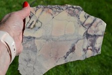 Porcelain jasper slab for sale  South Jordan