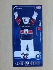 Bully eisbären berlin gebraucht kaufen  Berlin