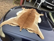 Vintage animal pelt for sale  WARE