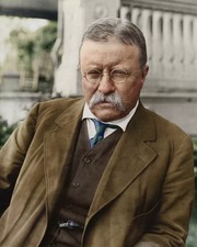 Theodore roosevelt portrait for sale  USA