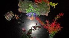 fish tank accessories for sale  Clio