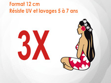 Autocollants sticker hinano d'occasion  Tours-