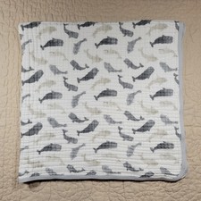 Kyle deena whale for sale  Santa Clara