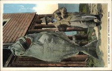massa pesca comprar usado massa pesca comprar usado Enviando para Brazil